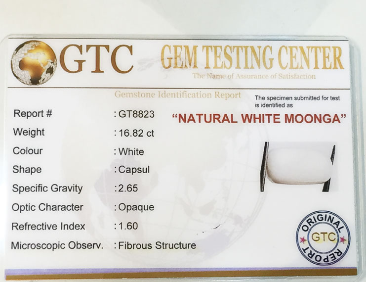 18.60 ratti/16.82 ct Natural Certified  White Coral/सफ़ेद मूंगा